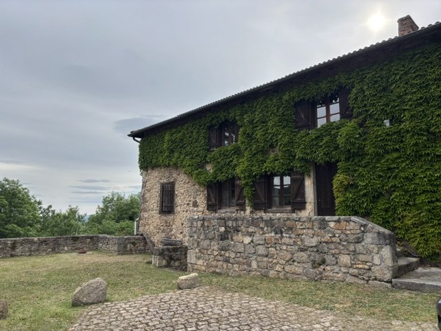 Façade et lierre